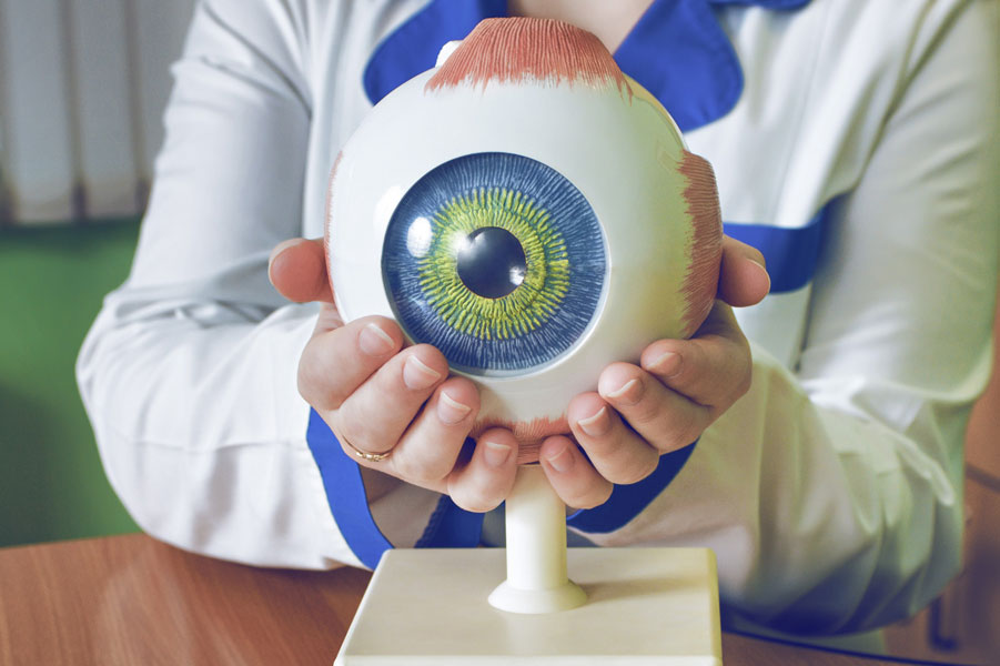 Hacer crecer un servicio médico oftalmológico esencial. Como proveedores primarios de atención oftalmológica, los optometristas enfrentan el desafío de abordar las diversas necesidades de atención médica de nuestras comunidades.